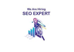 Female & Male Ecommerce and WP SEO Expert