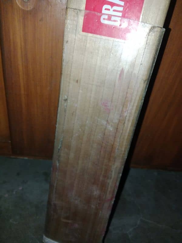 Gray Nicolls 4