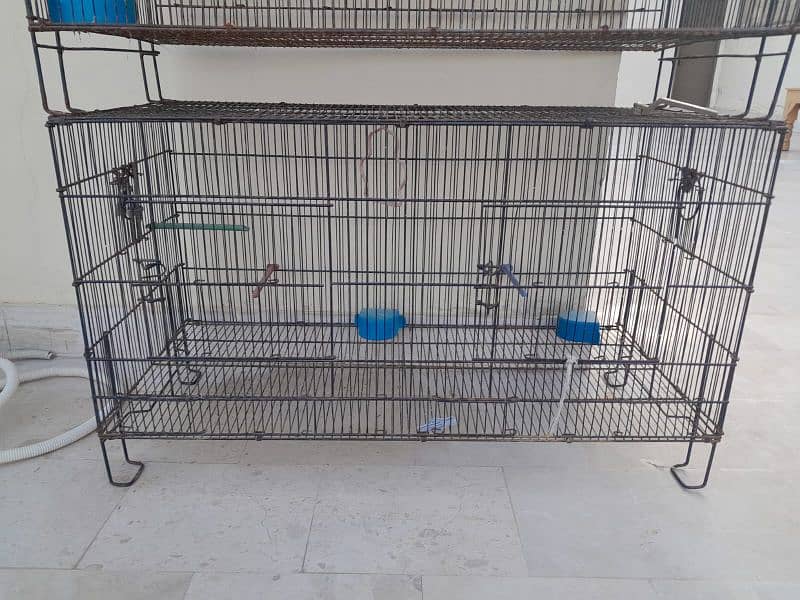 bird cages/parrot lovebird finch/folding cage/birds accessories/iron 0