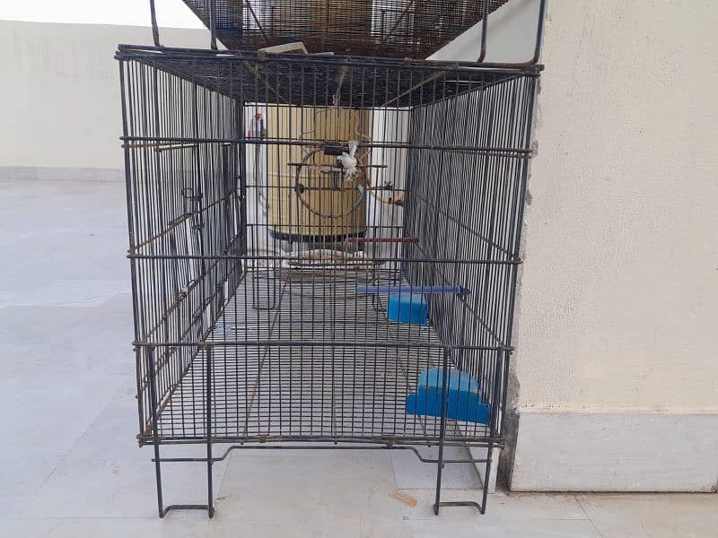 bird cages/parrot lovebird finch/folding cage/birds accessories/iron 2