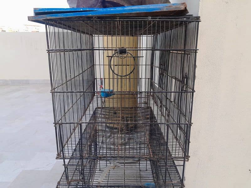 bird cages/parrot lovebird finch/folding cage/birds accessories/iron 3