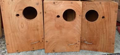 love birds kekar Box in fresh condition