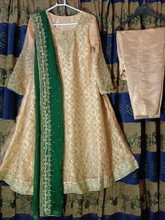 Stone work with capri, stone work dupatta, fabric Organza