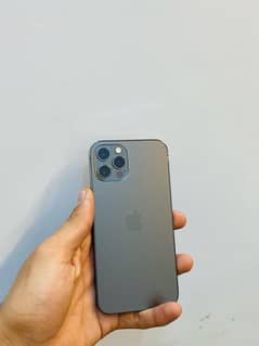 iPhone 12pro non pta 256gb