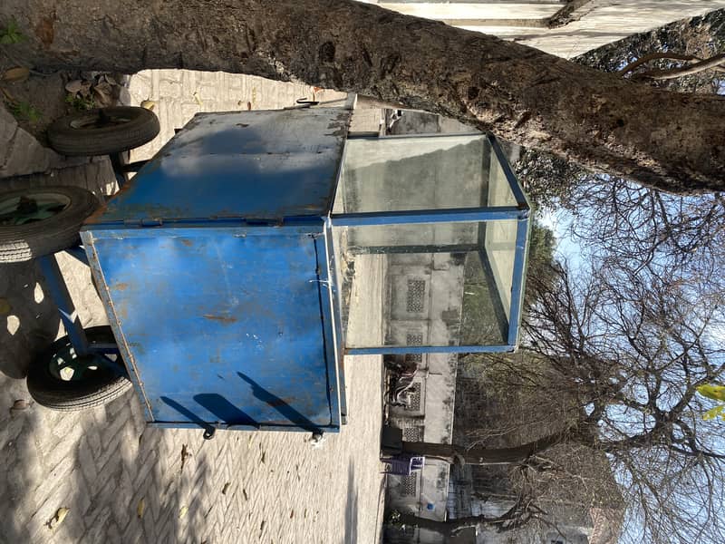 Fries Stall Cart for Sale 3