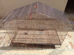 Big Size Birds Cage for Sell