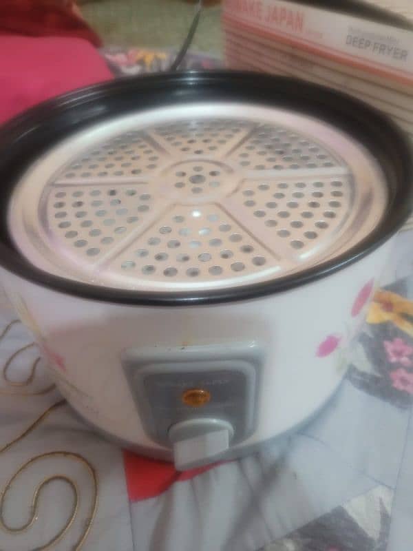 deep fryer & steamer 2