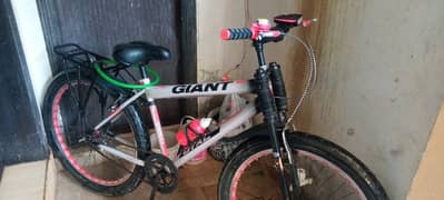 Giant company cycle 35000 price $Demand last price 30000