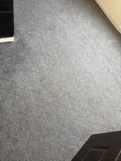 gray carpets