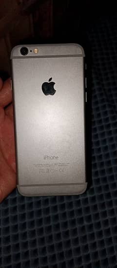 iPhone 6