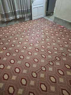 carpet for sale 13 by 13 feet