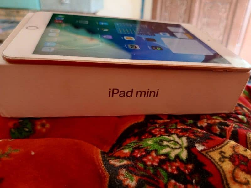 Ipad Mini 5 0