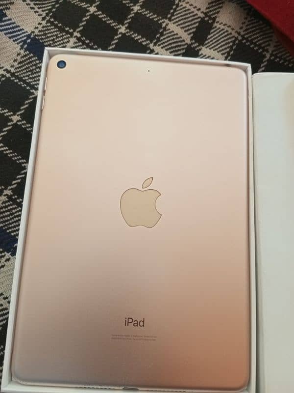 Ipad Mini 5 1