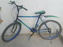 phoenix company cycle for sale