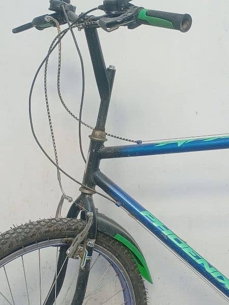 phoenix company cycle for sale 1