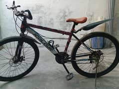 mountain bicycle