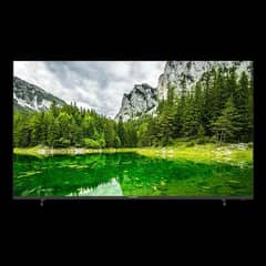 EcoStar 65 Inches Android 11 Frameless 4K UHD TV