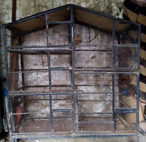 parrot cage pinjra 1