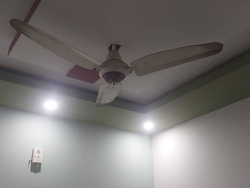 Royal ceiling fan 0