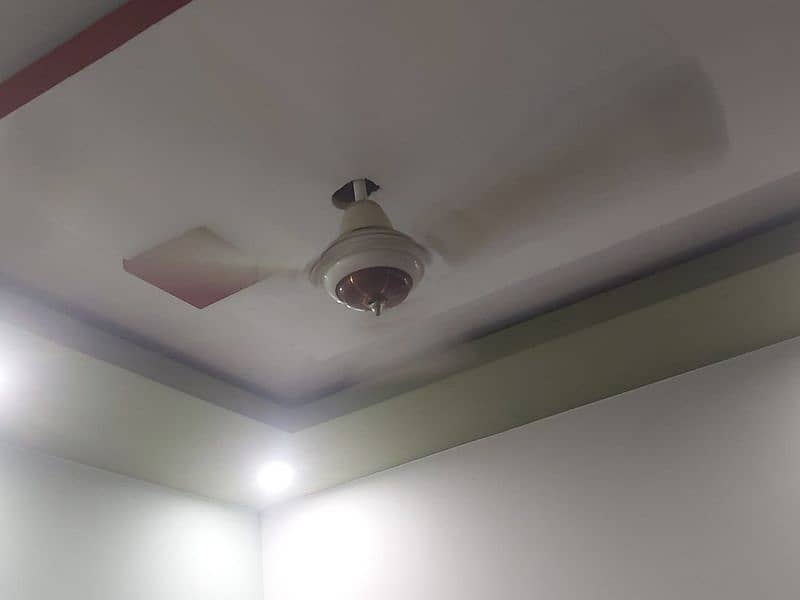 Royal ceiling fan 2