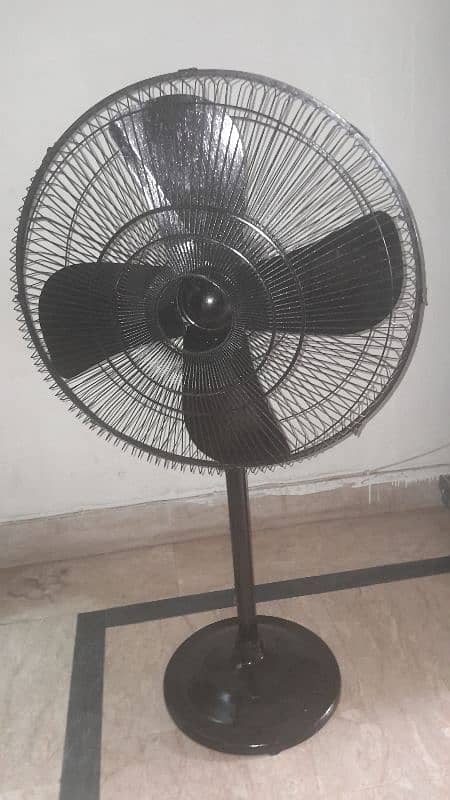 Pedestal Fan 1