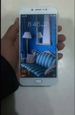 vivo 10/10 total geniun. in low price