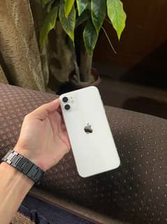 iphone 11 (4 Months simtime)