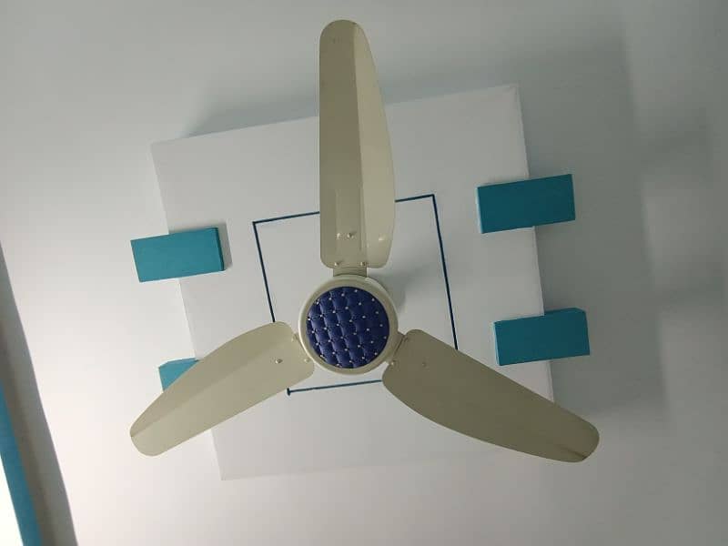 GFC FANCY FAN (PRICE NEGOTIABLE) 0