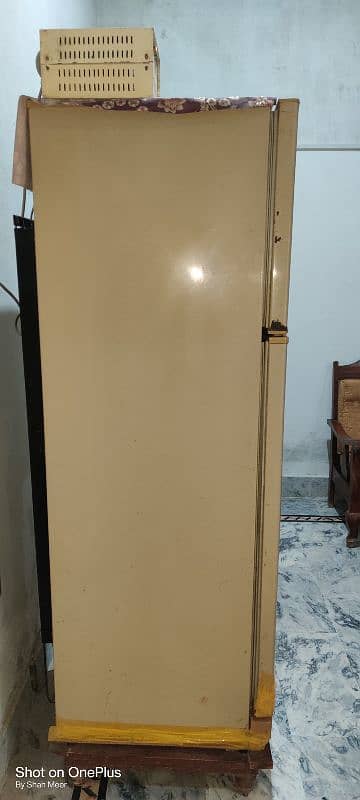 Pel Fridge For sale 1