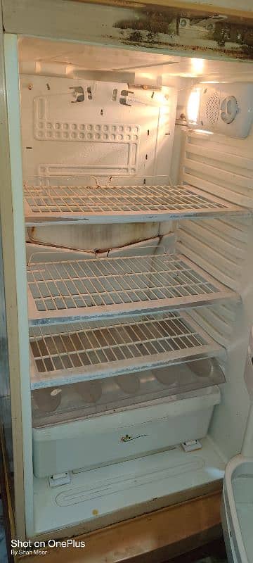 Pel Fridge For sale 2