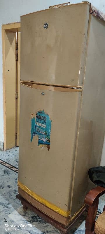 Pel Fridge For sale 5