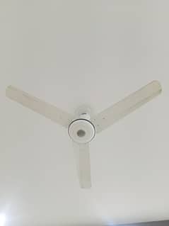 Pak Fan ceiling fan