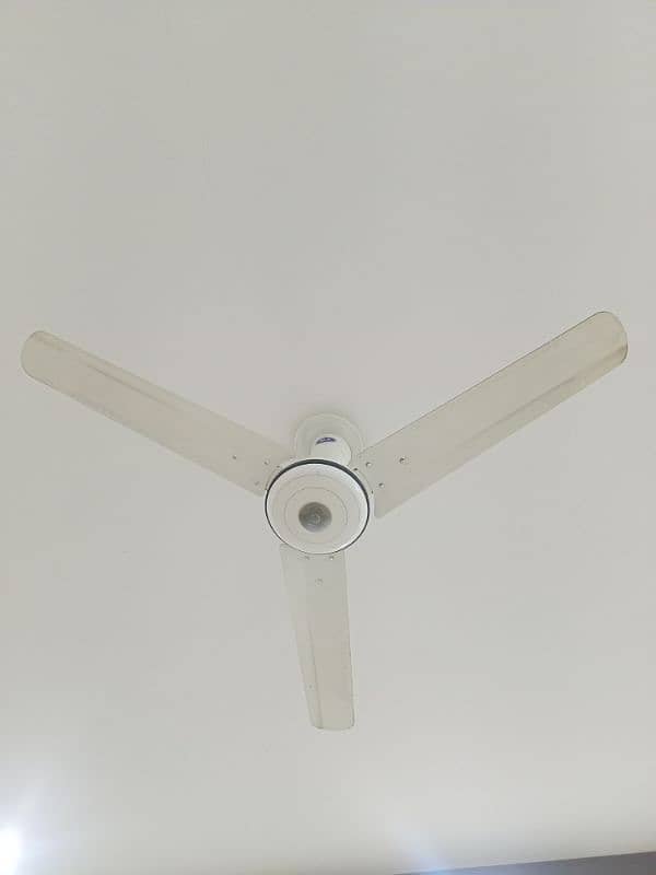 Pak Fan ceiling fan 0