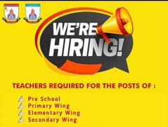 Need Females teachers for School And academy