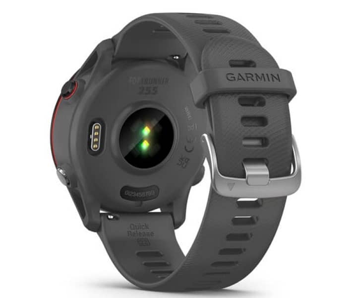 Garmin Forerunner 2