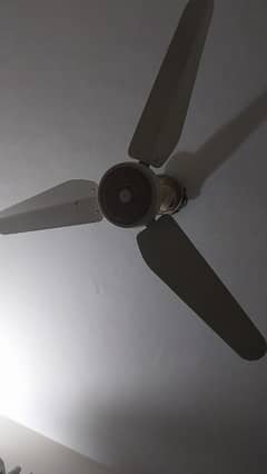 Lahore fans, good condition