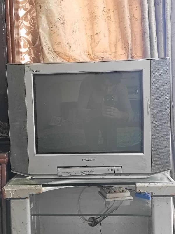 Sony Trinitron with original speakers. 1