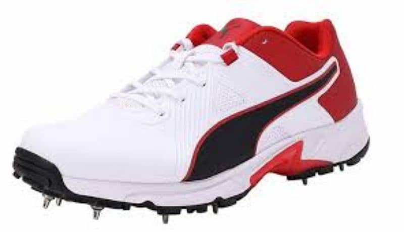 Puma Genuine Spikes Shoes (International Standard) 6