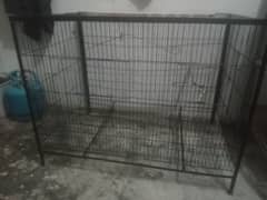 parrot cage