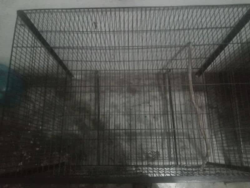 parrot cage 1