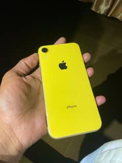 iPhone xr