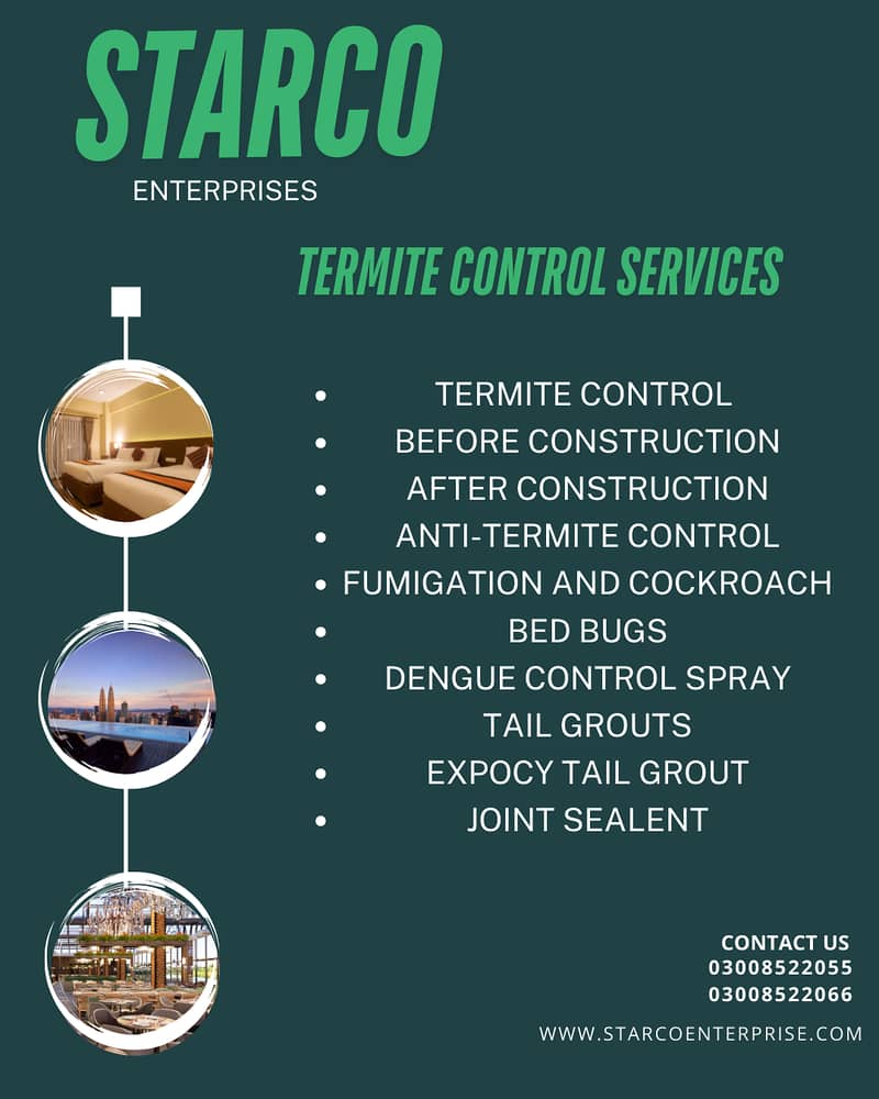 Pest Control/Termite Services/Dengue Control Spray/Fumigation Service 0