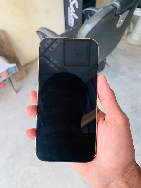 iphone 13 pro max non pta 2