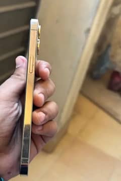 12 pro max 128gb gold