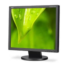 19" Nec AS193i Monitor for sale