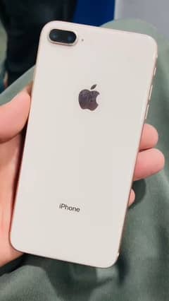 8plus Approved