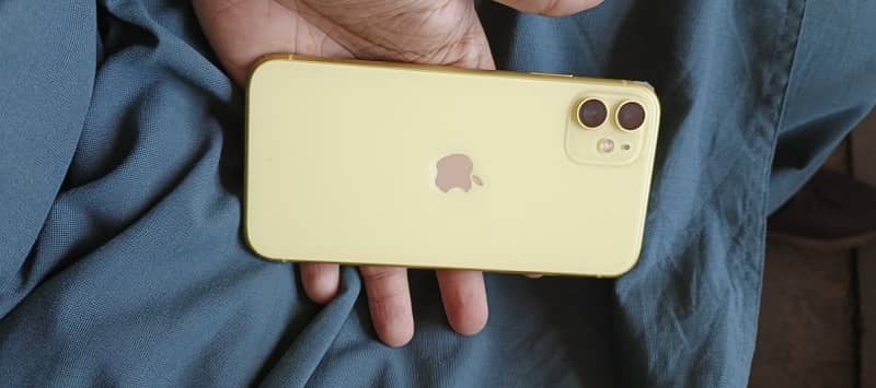 iPhone  11 pta approved 1