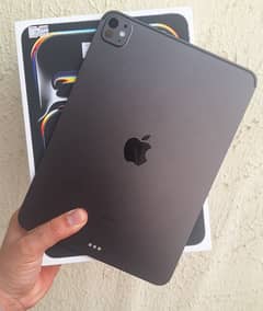 ipad pro m4 chip 256Gb Gary 11inch