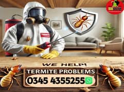 Termite Control / Pest Control Fumigation Services / pest control