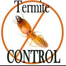 Termite Control / Pest Control Fumigation Services / pest control 7